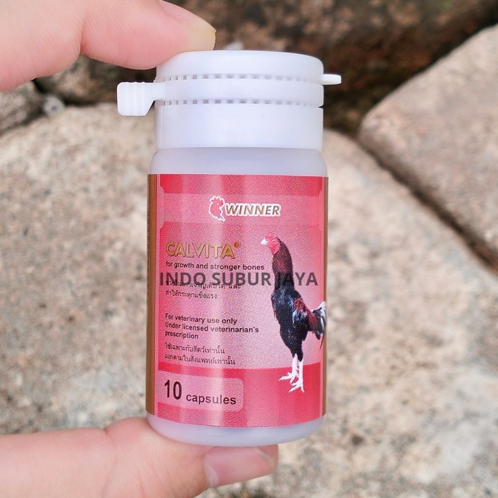 CALVITA ISI 10 KAPSUL OBAT ATASI AYAM LUMPUH AMPUH