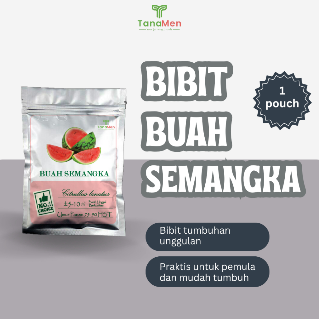 Tanamen Bibit Buah Semangka Merah Bibit Buah Unggul Berkualitas Urban Farming