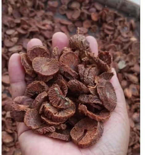 1kg Buah Pinang iris kering berkualitas