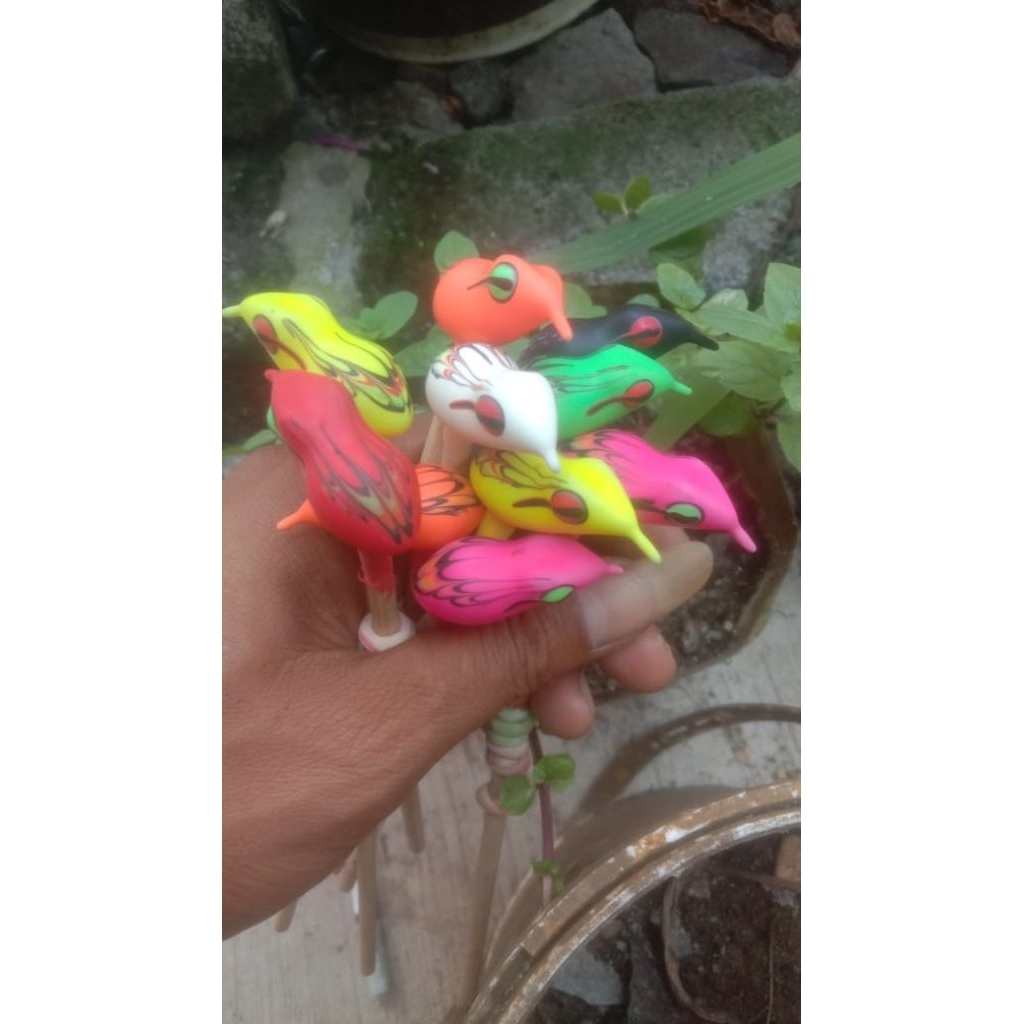 body/cangkang soft frog size 3,5 cm