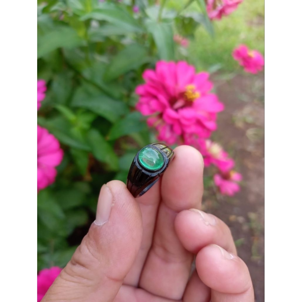 Jamrud kalimantan Asli ( Real pict)