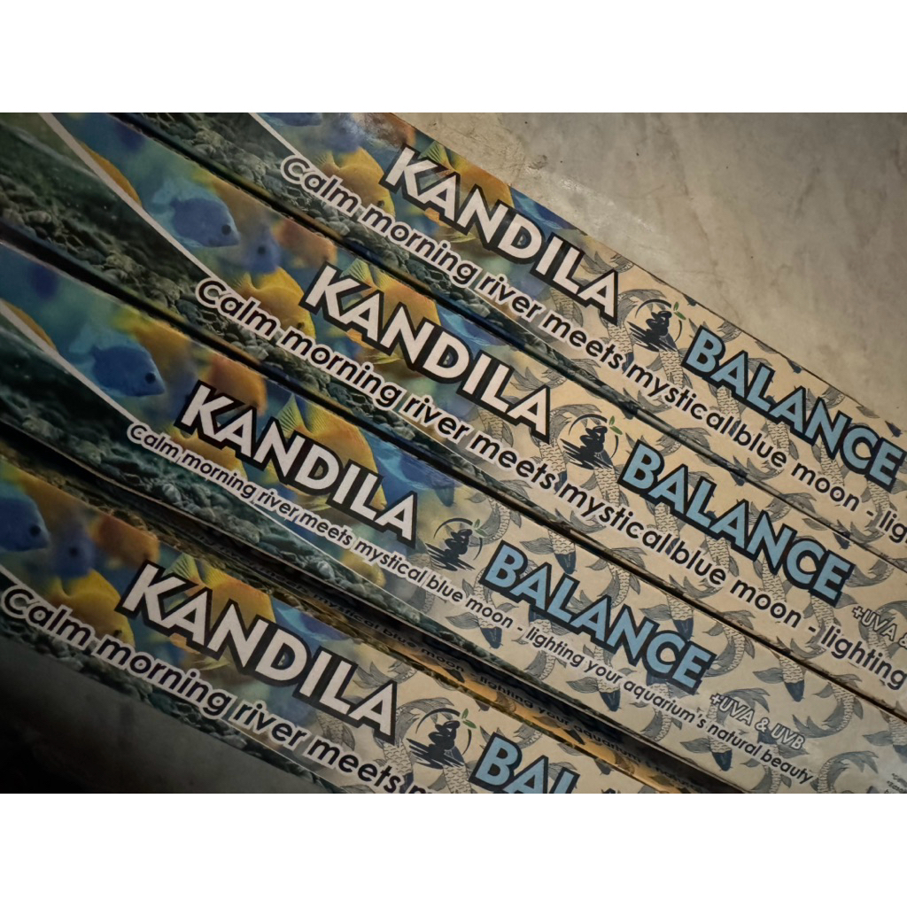 LAMPU KANDILA BALANCE|Lampu akuarium warna biru| Lampu glofish