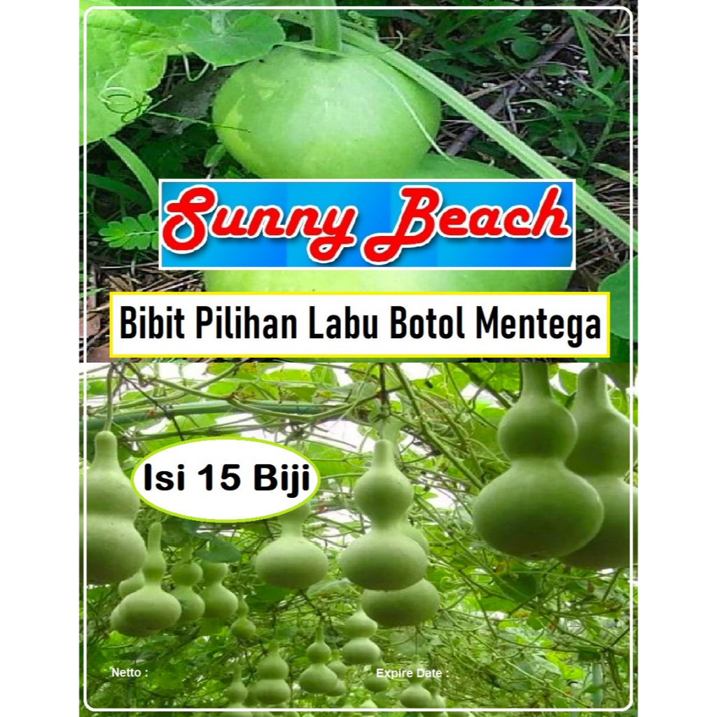 Bibit Pilihan Labu Botol Mentega | Biji Benih Labu Botol Mentega | Biji Bibit Labu Kendi Mentega
