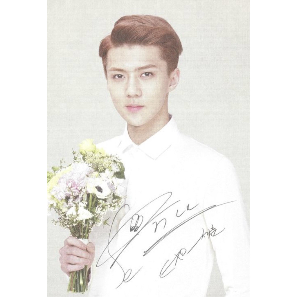 NATURE REPUBLIC EXO postcard