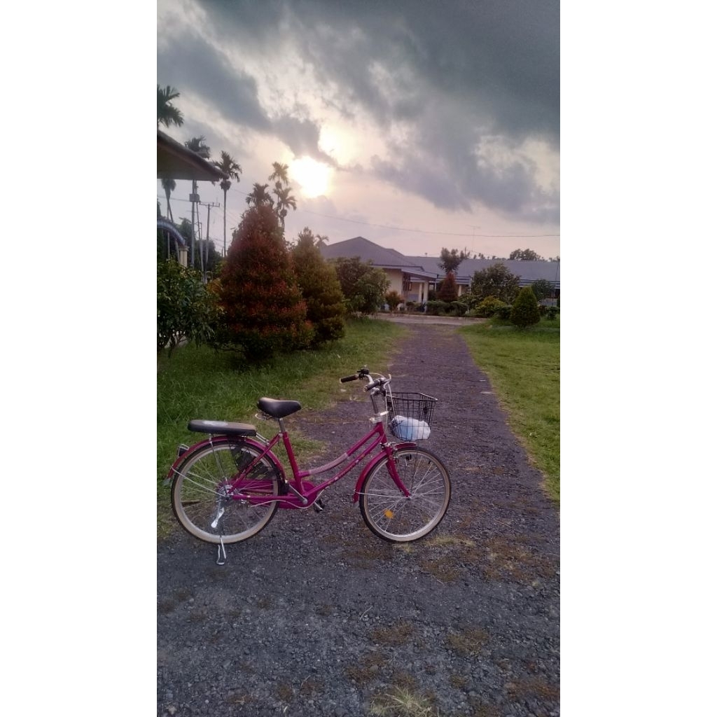 Sepeda keranjang Phoenix 26 inch