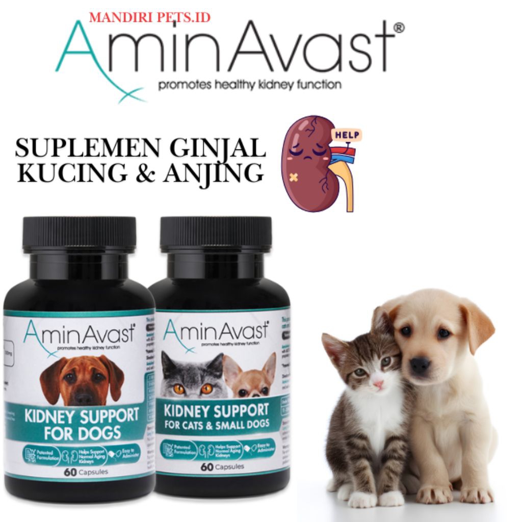 AminAvast Supplement Ginjal Anjing & Kucing - Obat Ginjal Kucing