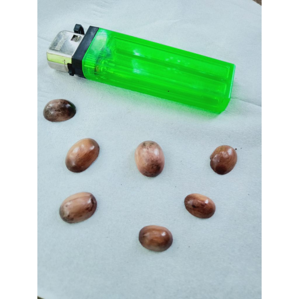 Akik stigi asli tenggelam di air