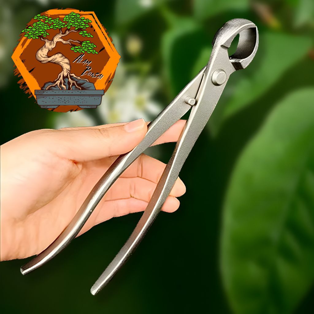 Catok cembung bonsai 21cm, catut cembung / miring || tang krekut untuk bonsai import