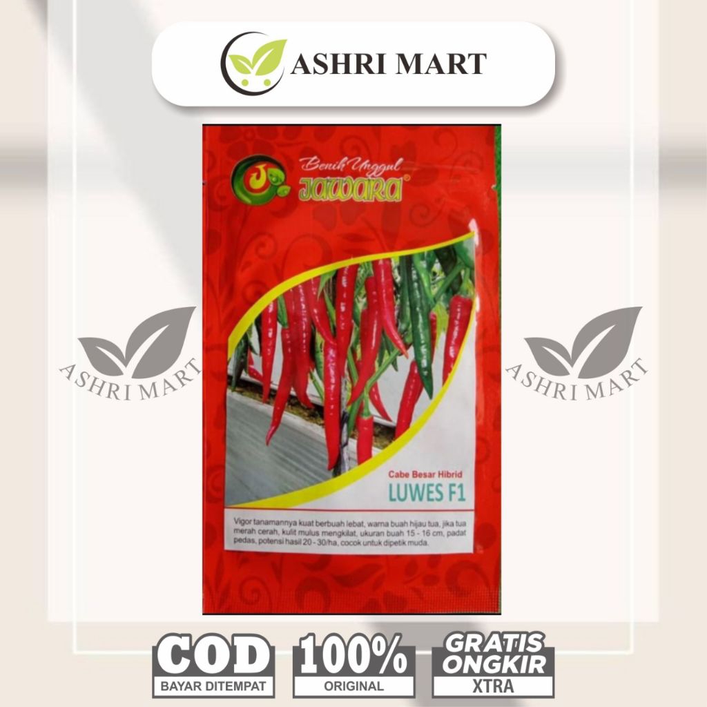 Benih Cabe Besar Luwes F1 Benih Unggul Jawara Hibrida