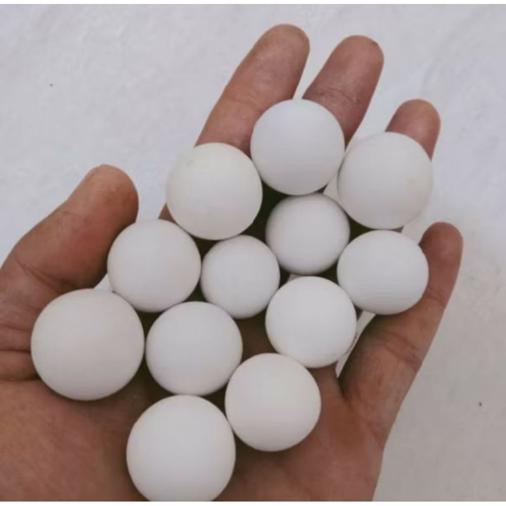 BATU MUSTIKA TIDAR/MUSTIKA KELAPA