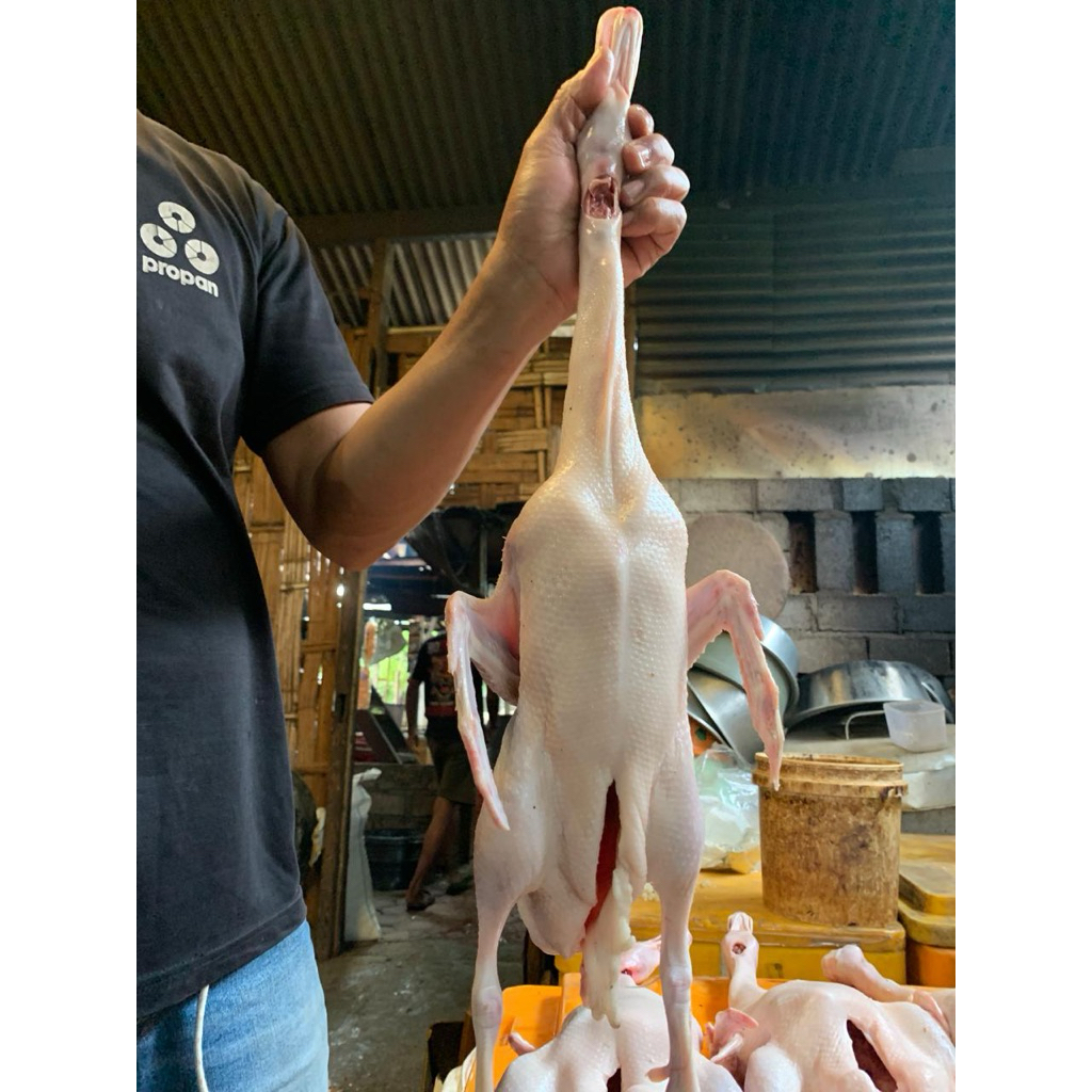 Bebek Peking 1Kg | Bebek peking frozen | Bebek peking mentah