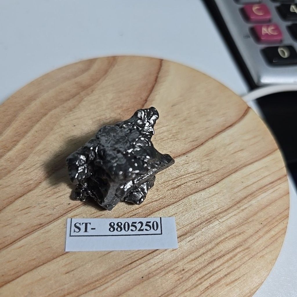 Campo del Cielo Iron Meteorite asli Gran Chaco Gualamba, Argentina