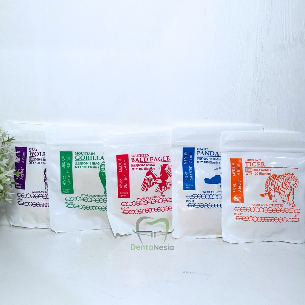 Karet Elastik American Orthodontic AO / Behel Gigi / Dental Rubber Band / Elastic Band