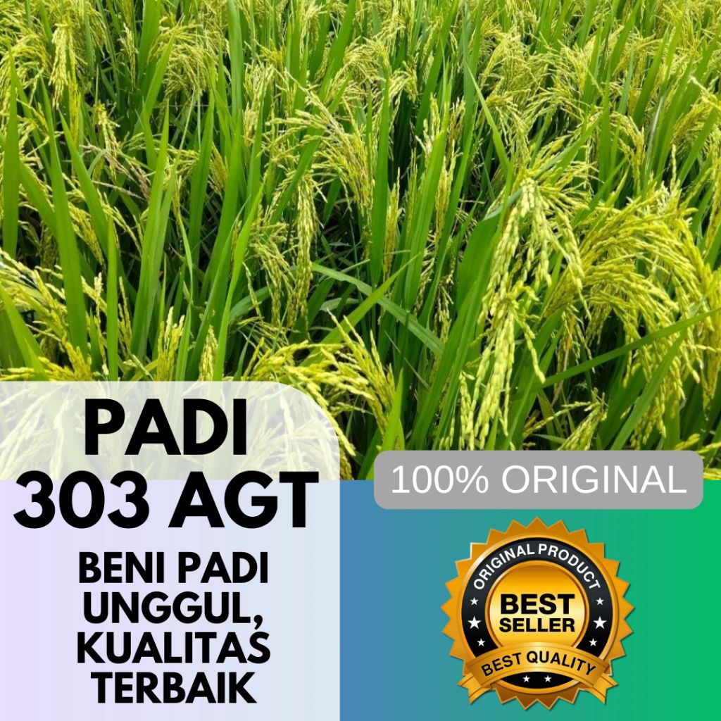 BENIH PADI 303 AGT ORIGINAL 5KG