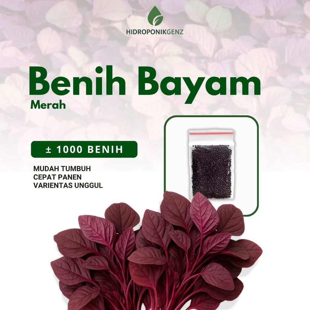 Benih Bayam Merah |1000 Benih Sayuran Bayam Merah Unggul