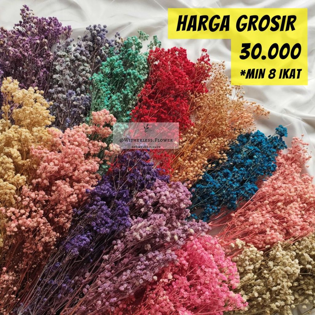 50 gr Preserved Baby Breath / Dried Flower Awetan / Bunga Kering