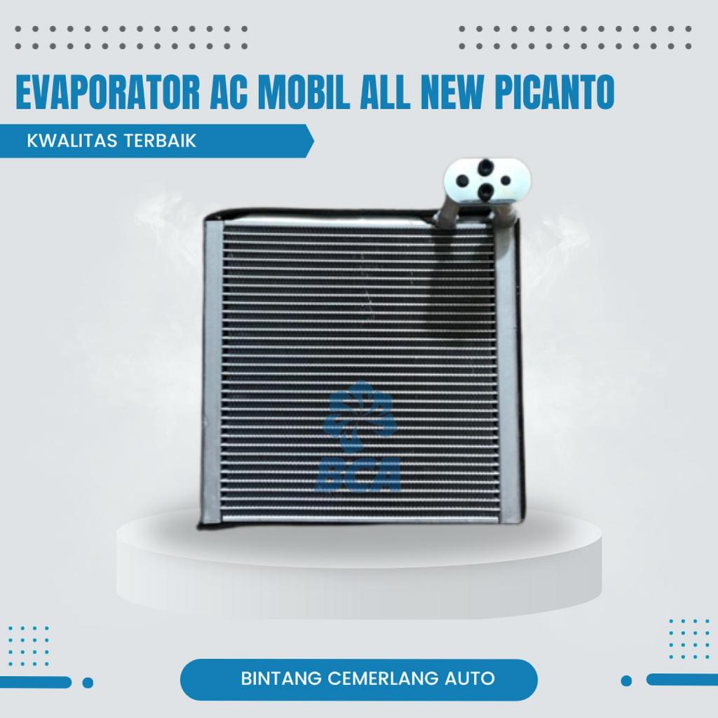 EVAPORATOR Ac Mobil All New Picanto