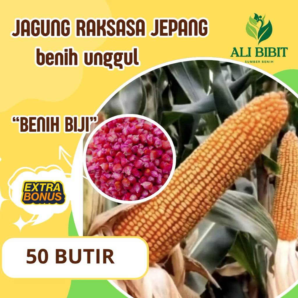 50 Butir > Biji Benih Jagung Raksasa Jepang> Bibit Jagung Raksasa> Bonus Benih