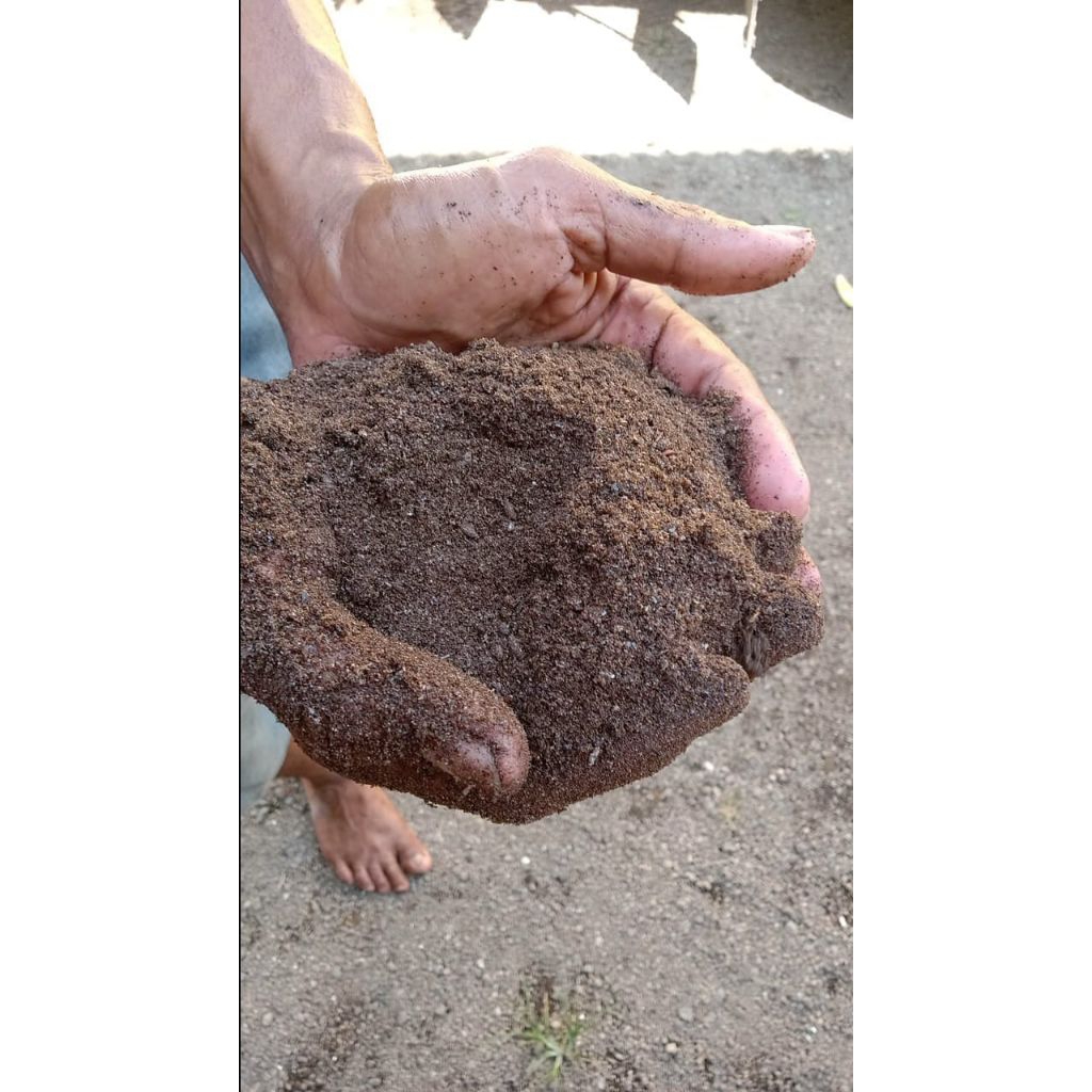 Pupuk Organik Kotoran Kelelawar Murni (Bat Guano)