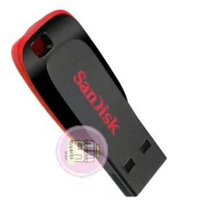 FlashDisk Sandisk 8 Gb