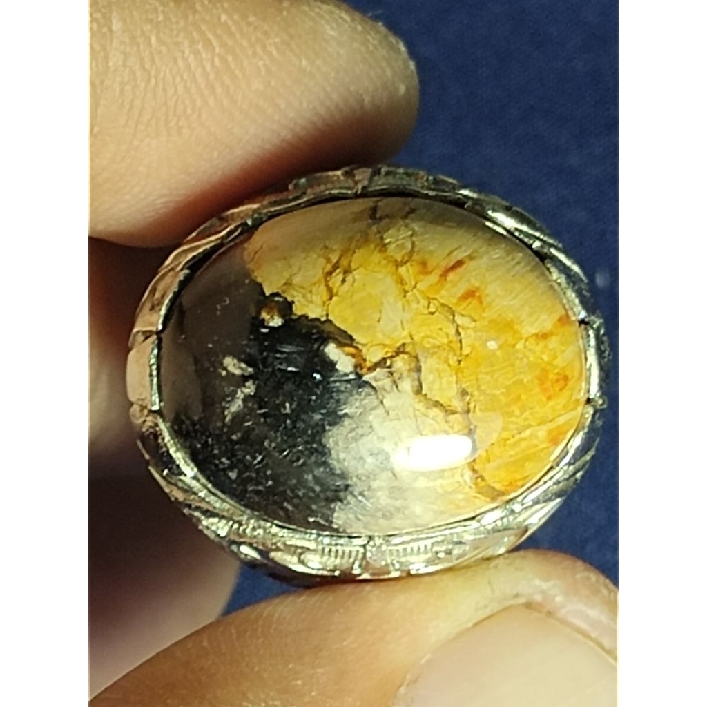 Natural Kelor Petrified Wood, BLACK LION VS GOLDEN LION / Batu Fosil Kayu Kelor, SINGA HITAM VS SING