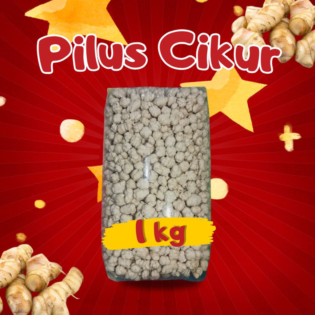 pilus cikur sukro cikur 1kg