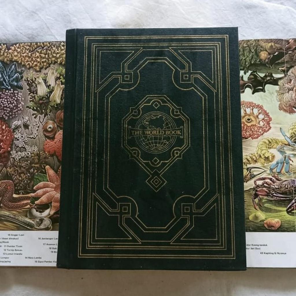 The World Book Encyclopedia - World Book International