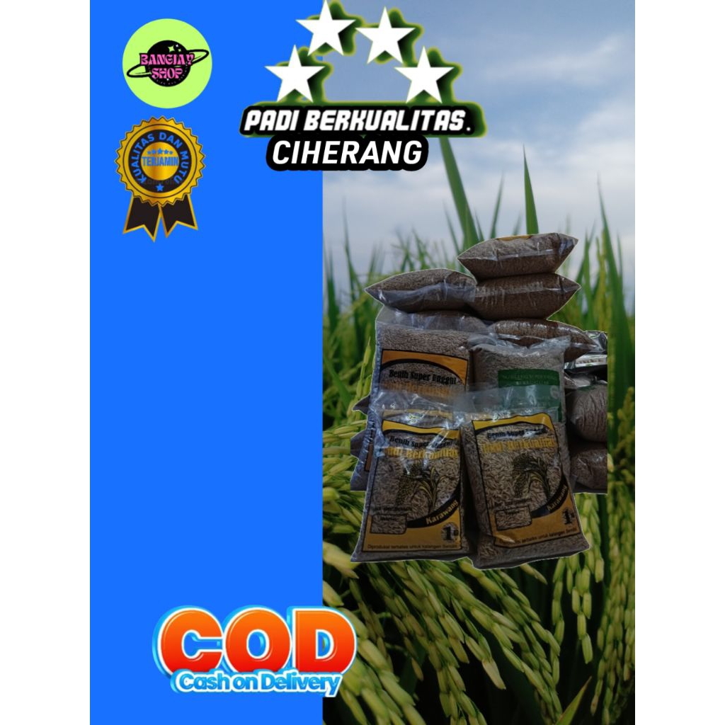 BENIH PADI CIHERANG 5KG