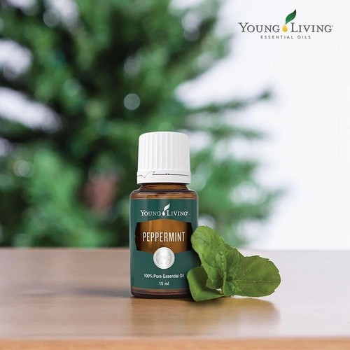 Young Living Peppermint Essential Oil 15ml