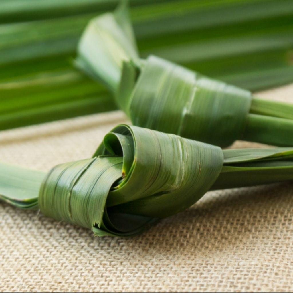 Daun Pandan Wangi / Harum Segar Wilayah Makassar