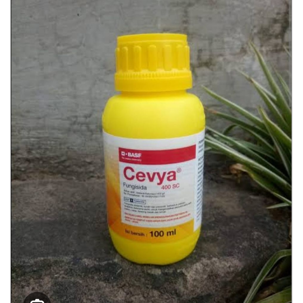 Cevya 100 ml