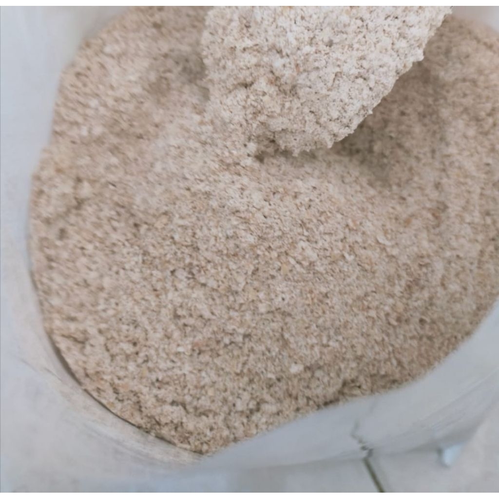 tepung gandum utuh asli import