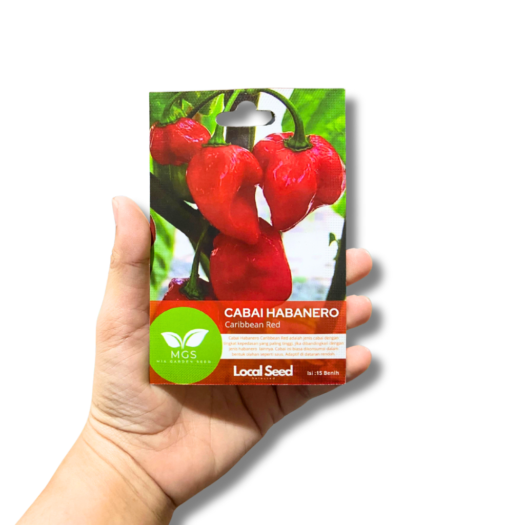 Benih Cabe Habanero Isi 15-Benih Cabe Habanero Murah Isi Banyak-Benih Cabai Habanero