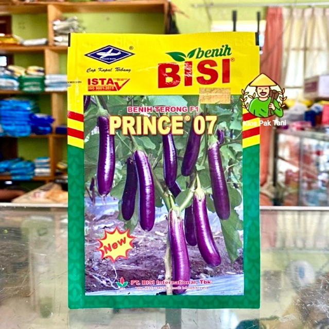 Benih terong Ungu Prince 07 10 Gram Cap Kapal Terbang | Benih Terong Prince 07