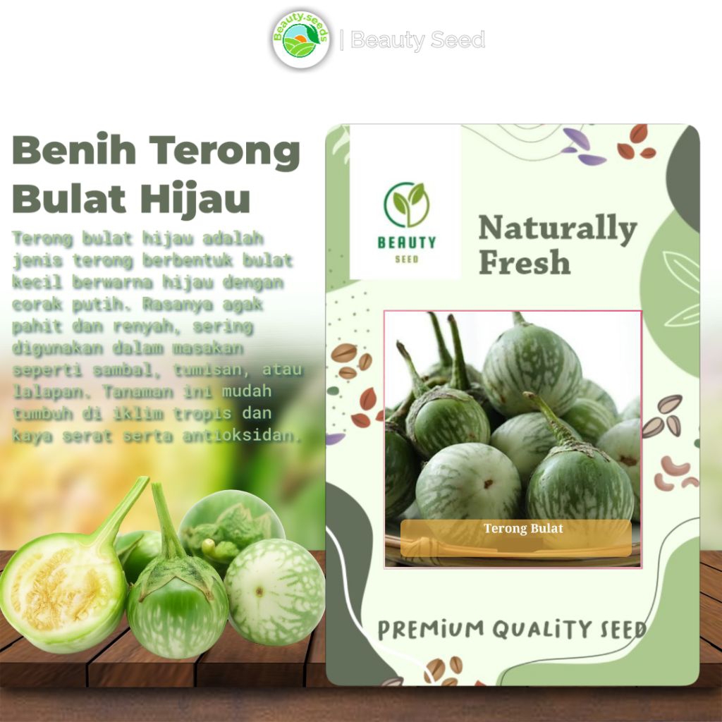 Benih Biji Unggul Terong Bulat Hijau - Terong Lalap