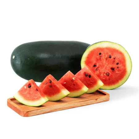 TERMURAH - Bibit Semangka Inul Merah Terunggul