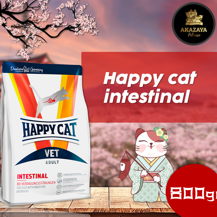 HAPPY CAT INTESTINAL | HAPPY CAT INTESTINAL KEMASAN 800GR REPACK | MAKANAN HAPPY CAT INTESTINAL