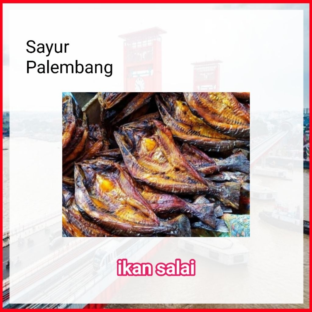 Ikan Salai Salay Sale Patin / Lele - Palembang