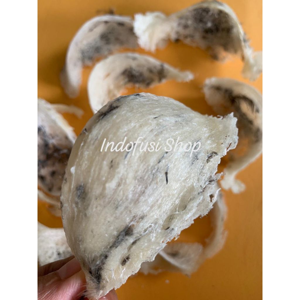 Sarang Burung Walet100% Asli Dari Sarangnya