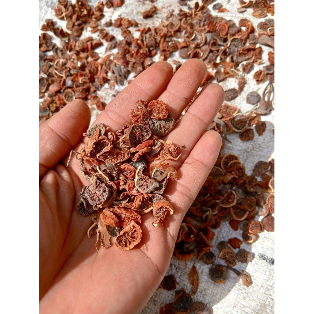 Biji pala muda iris [ kering ] Biji pala muda/biji pala iris kering 100grm