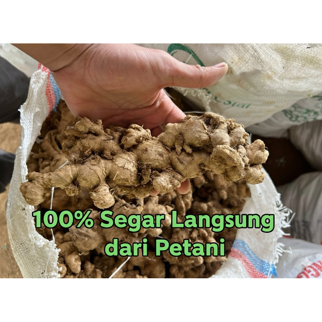 Jahe Emprit Segar 1 Kg Bersih
