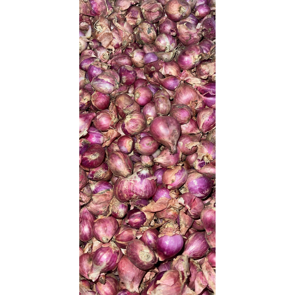 SALE, Bawang merah Bawang merah besar, bawang merah 1kg, bawang merah brebes, bawang merah proboling