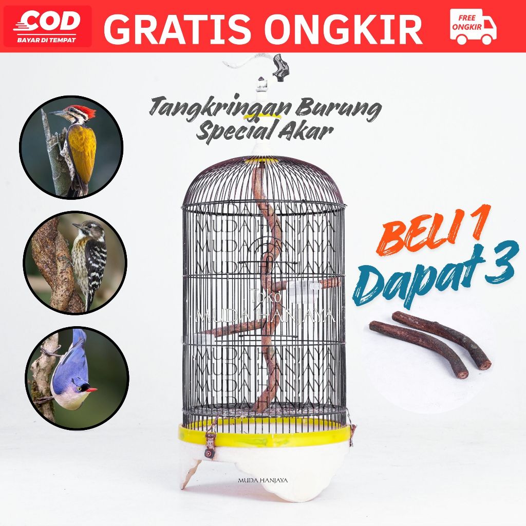 Tenggeran Tangkringan Akar Burung Lovebird Rambatan Pelatuk 1 Batang Bonus 2 | Muda Hanjaya Bandung