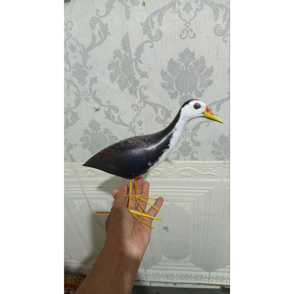 Pancingan burung jontrot ruak ruak mirip asli patung burung ruak boneka hewan kareo padi tahan penyo