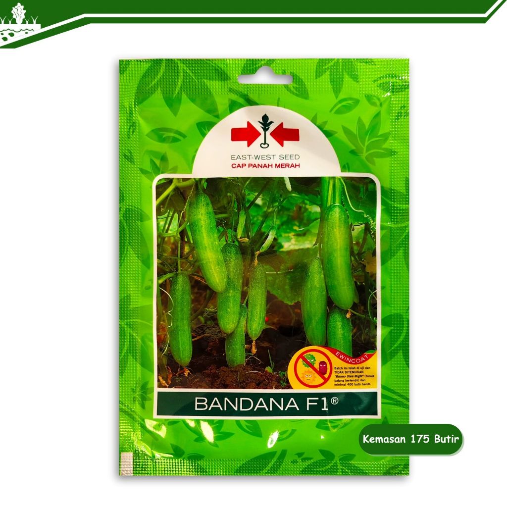 Benih Timun Bandana Mentimun Lalap lalab 175 Biji Cap Panah Merah
