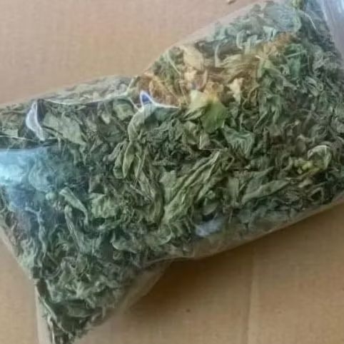 Daun Sena Kering Asli 100gram