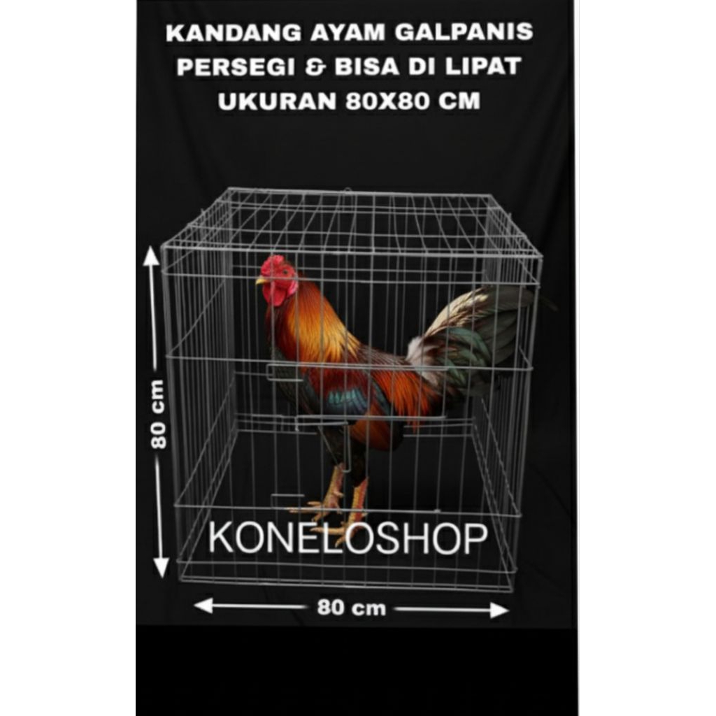 KANDANG   AYAM GALVANIS KOTAK LIPAT