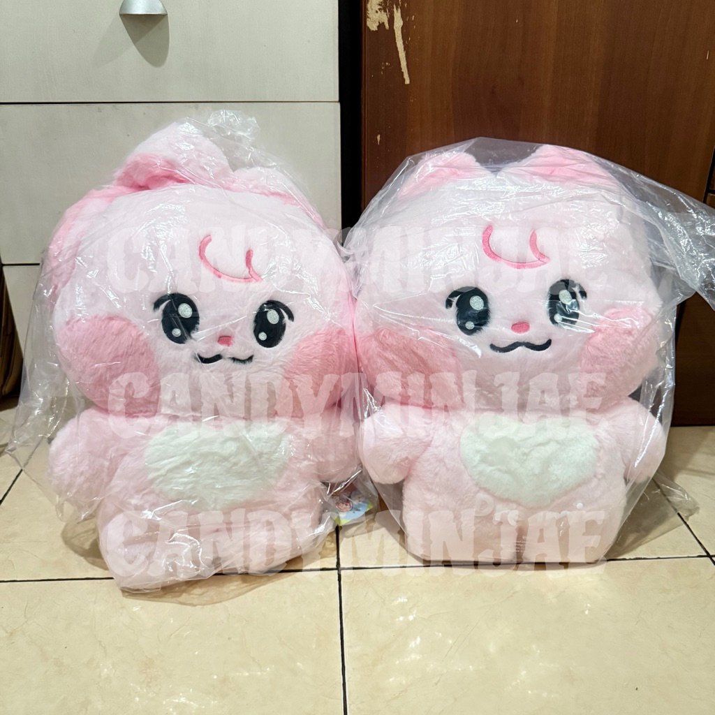 [BACA DESKRIPSI] READY INA MD BIG FLAT CUSHION KKYUPING 40CM DOLL BONEKA NCT DREAM X LINE FRIENDS DR