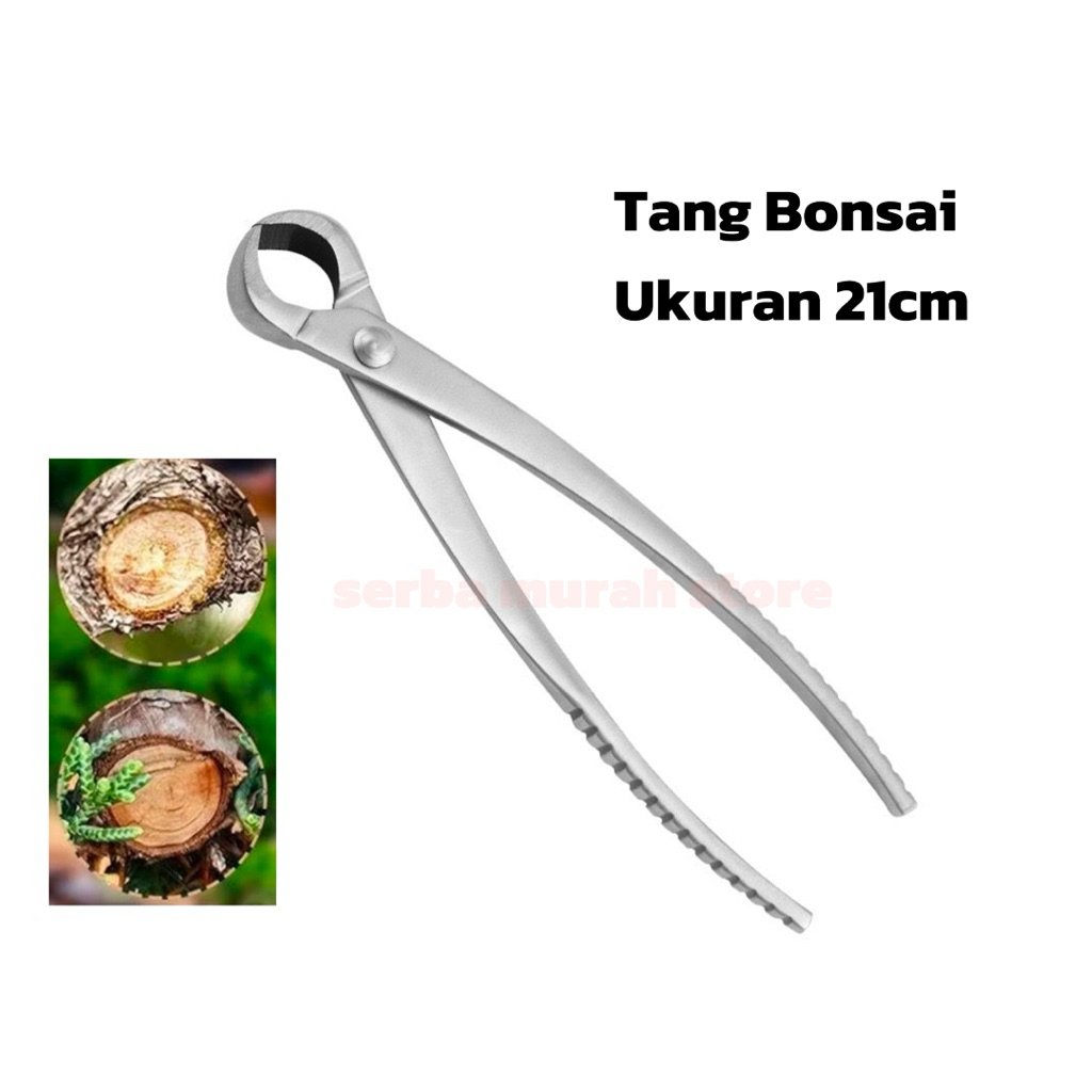 SMS Tang Bonsai / Catok Bonsai Cembung 21cm / Knob Cutter