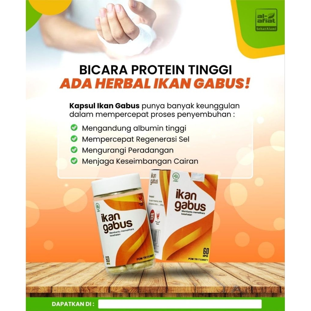 kapsul albumin/kutuk/Gabus/ikanGabus alafiat 60kapsul/herbal tinggi albumin